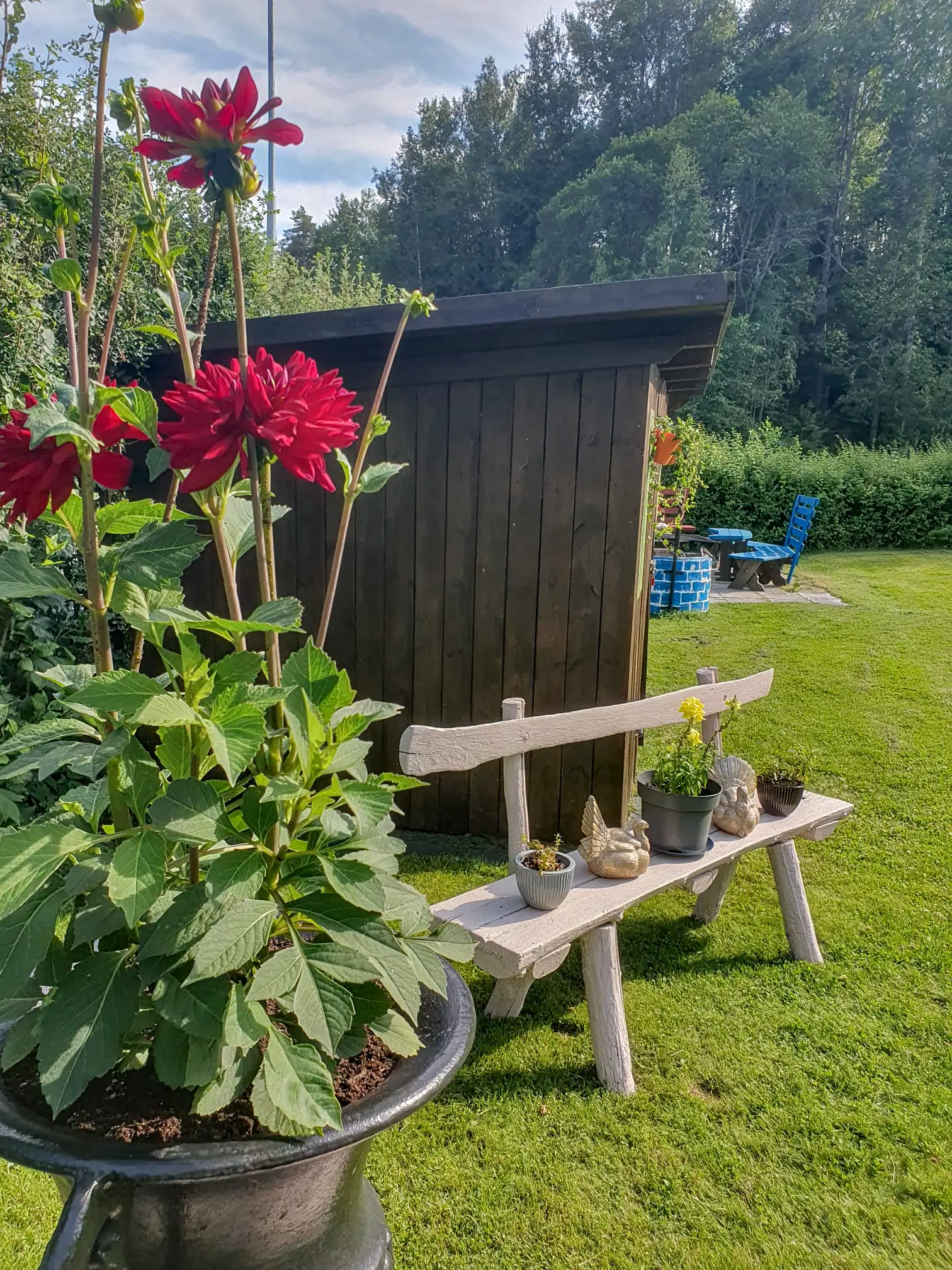 A peaceful garden scene at Motel E4 featuring vibrant red dahlias in a pot and a rustic white wooden bench decorated with bird figurines, set against a lush forest backdrop.