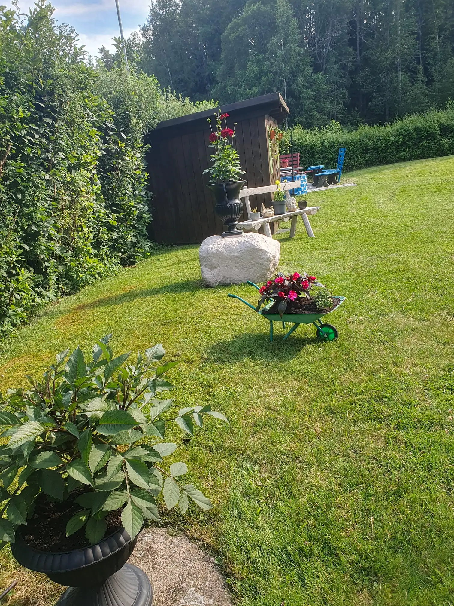 A serene garden scene at Motel E4 featuring a lush green lawn, various decorative flower planters including a green wheelbarrow, and a rustic wooden bench under a sunny sky.